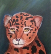 Baby jaguar